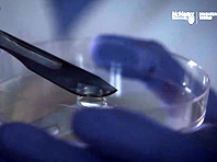 Антибактериальный гель - мощное оружие против самых опасных инфекций - «Новости Медицины»