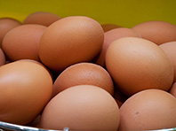 Доказано: яйца однозначно безопасны для сердца и сосудов - «Новости Медицины»