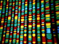 Генетики поняли, почему некоторые люди защищены от слабоумия - «Новости Медицины»