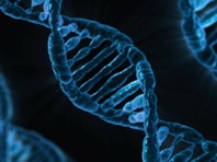 Исследователи выявили в геноме "слабые места", ведущие к шизофрении - «Новости Медицины»