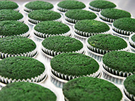 Изобретатели с Дальнего Востока представили полезное печенье из водорослей - «Новости Медицины»