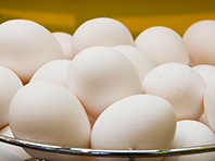 Яйца - залог здоровья глаз, уверены исследователи - «Новости Медицины»