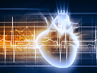 "Компьютерное сердце" поможет диагностировать болезни и проверить лекарства - «Новости Медицины»