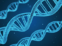 Компьютерные системы занялись поиском нарушений ДНК - «Новости Медицины»