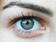 Медики: для сохранения здоровья глаз нужно питаться определенным образом - «Новости Медицины»