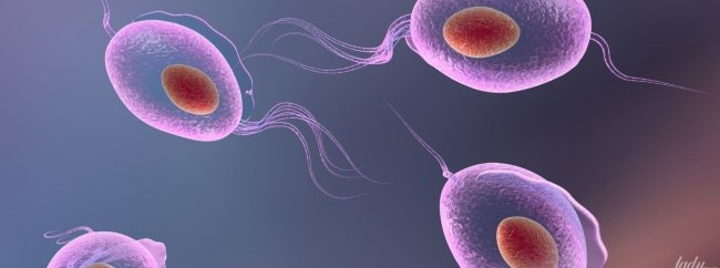 Беременность и трихомониаз: влияние инфекции на маму и новорожденного  - «Гинекология»