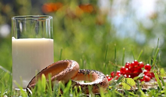 Чем опасно обезжиренное молоко - «Новости Медицины»