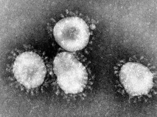 Фармацевтические компании подключились к поиску вакцины против коронавируса - «Новости Медицины»