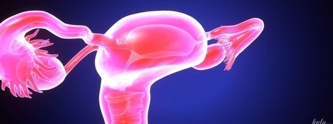 Эндометрит - воспаление слизистой оболочки матки: причины, симптомы, последствия  - «Гинекология»