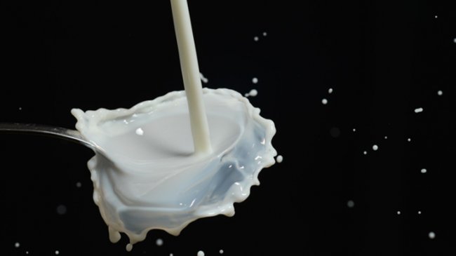 Молоко приходит на помощь мозгу - «Новости Медицины»