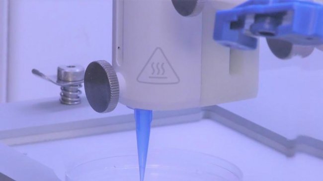 На 3D принтере впервые напечатали человеческую кожу с сосудами - «Дерматология»