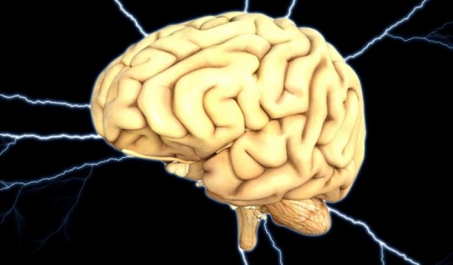 Найдена связь между совершением преступлений и повреждениями мозга - «Новости Медицины»