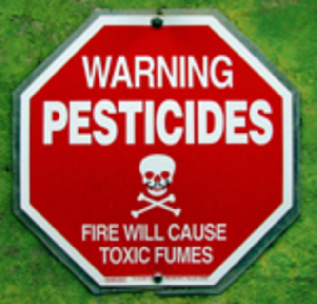Пестициды внедряются в продукты питания - «Новости Медицины»