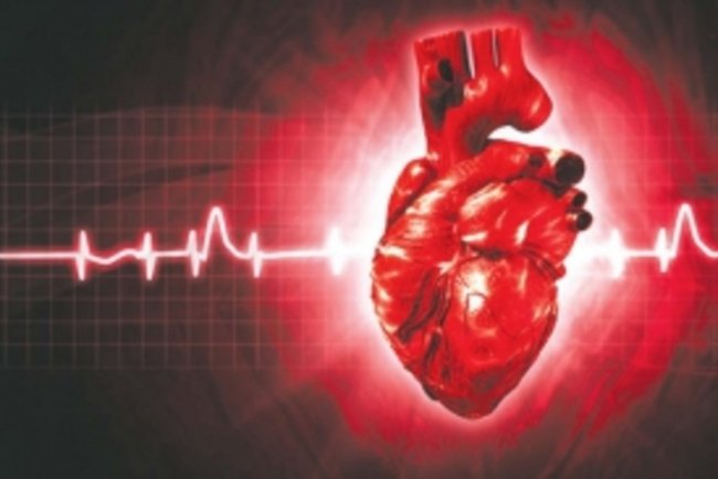 Проблемы с сердцем возникают из-за головы - «Новости Медицины»