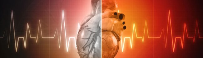 Распространенность эндотелиальной дисфункции и дислипидемии у пациентов с хронической ревматической болезнью сердца - «Кардиология»