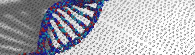 Roche заплатит 1,15 млрд долларов за генетическую терапию разработки Sarepta - «Новости Медицины»