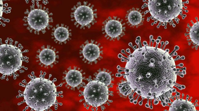 В Европе буйствует мутировавший вирус гриппа - «Новости Медицины»