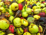 Не все фрукты "с бочком" безопасны для здоровья, предупреждают врачи - «Новости Медицины»