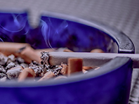 Неврологи поняли, как именно сигареты вызывают зависимость - «Новости Медицины»