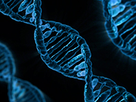 Приложение для знакомств по ДНК - амбициозный проект генетиков - «Новости Медицины»