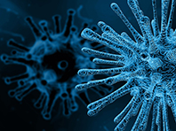 Противораковую терапию изменят вирусы, заражавшие наших предков - «Новости Медицины»