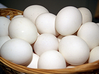 Российские инженеры обещают сделать яйца безопасным продуктом - «Новости Медицины»