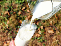 Ученые: детям показано потребление козьего молока - «Новости Медицины»