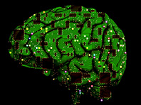 Ученые приблизились к созданию искусственного мозга - «Новости Медицины»