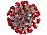 Вирусологи вычислили, сколько коронавирус живет на предметах - «Новости Медицины»