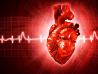Выбор неинвазивной нагрузочной пробы в диагностике ишемической болезни сердца (научный обзор) - «Кардиология»