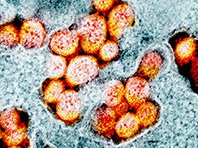 Лекарство от изжоги проверяют против коронавируса - «Новости Медицины»