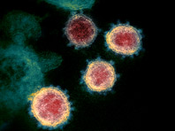 Неприятное открытие: вирусологам стало больше известно о коронавирусе - «Новости Медицины»