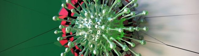 Вакцинация россиян от коронавируса может начаться уже осенью - «Аллергология»