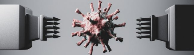 Новосибирские ученые первыми получили антитела, нейтрализующие коронавирус - «Аллергология»