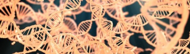 Roche вместе с Blueprint займется созданием генной терапии рака - «Инфекционные заболевания»