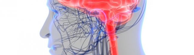 Вопросы совершенствования ведения пациентов с диагнозом «хроническая ишемия головного мозга - «Гинекология»