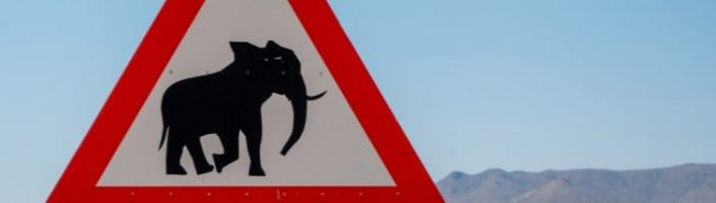 Жителей Намибии предостерегли от использования слоновьего навоза в лечении коронавируса - «Аллергология»