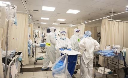 Кошерный коронавирус атаковал Израиль - Статьи - Здоровье - Свободная Пресса - «Новости Медицины»