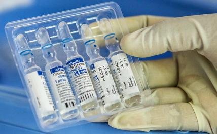 Насколько безопасны российские вакцины против ковида - Статьи - Здоровье - Свободная Пресса - «Новости Медицины»