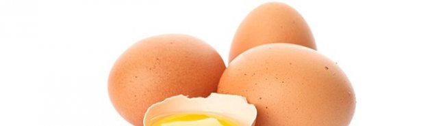 Аллергия на яйца - «Аллергология»