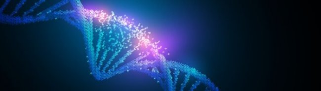 Впервые расшифрована полная последовательность генома человека - «Гинекология»