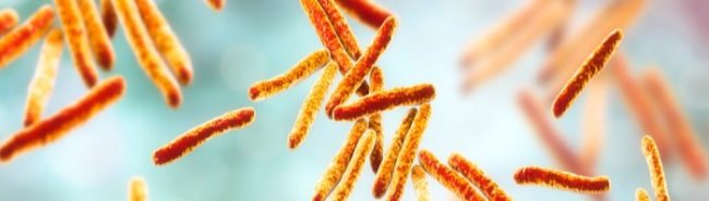 Обнаружено вещество, способное бороться с лекарственно-устойчивым туберкулезом - «Инфекционные заболевания»