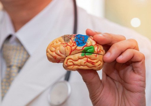 Неврологи предложили лечить психические расстройства электростимуляциями в мозг - «Новости Медицины»