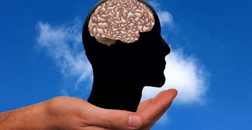 Российский врач назвала способ сохранить здоровье головного мозга в старости - «Новости Медицины»