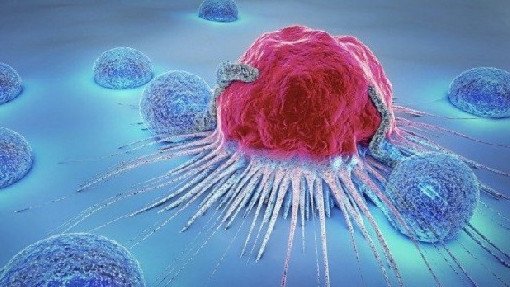 Селен: здоровье клеток и профилактике рака - «Онкология»