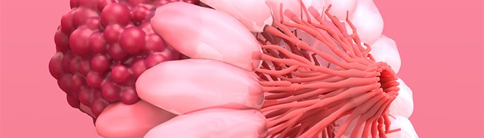 Созданы уникальные наночастицы для терапии под визуальным контролем рака молочной железы - «Гастроэнтерология»