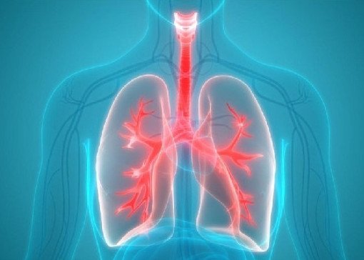 Методика Кофлера: трехфазное дыхание для укрепления иммунитета - «Новости Медицины»
