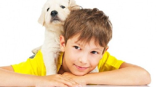 Собаки защищают детей от развития тревожного расстройства - «Педиатрия»